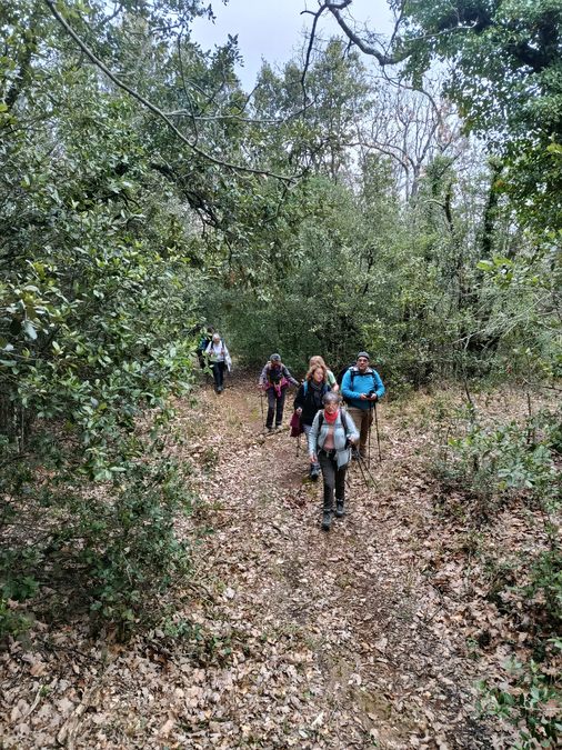La Roquebrussanne, vallon des cerisiers