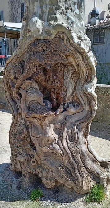 Collobrières 