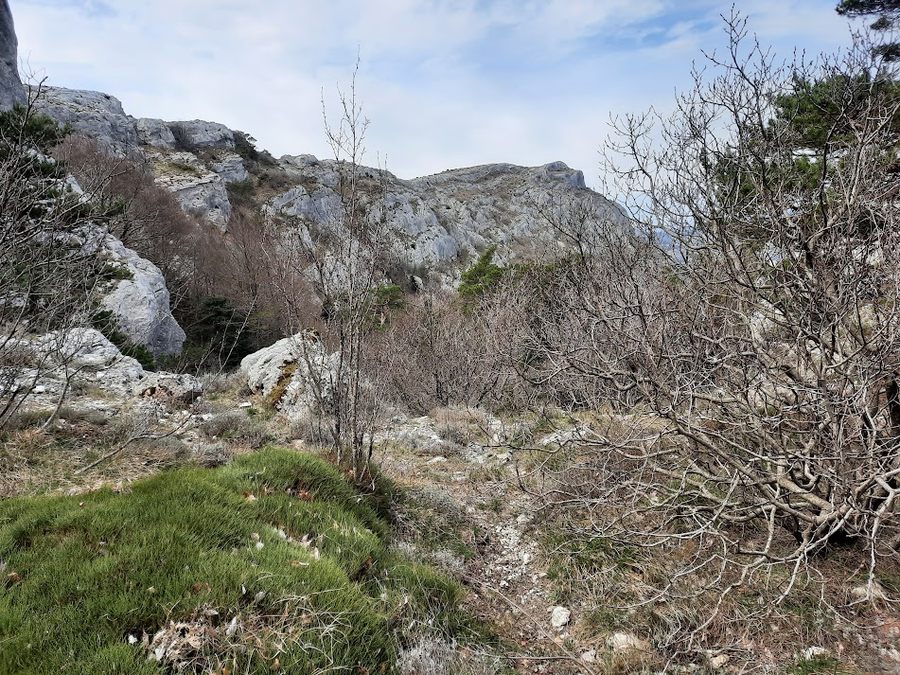 La Sainte Baume 