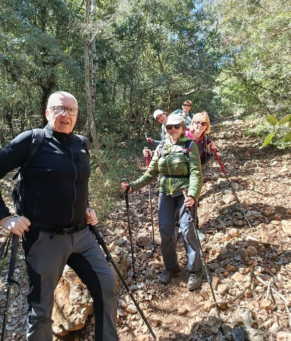 Garéoult, le bois 