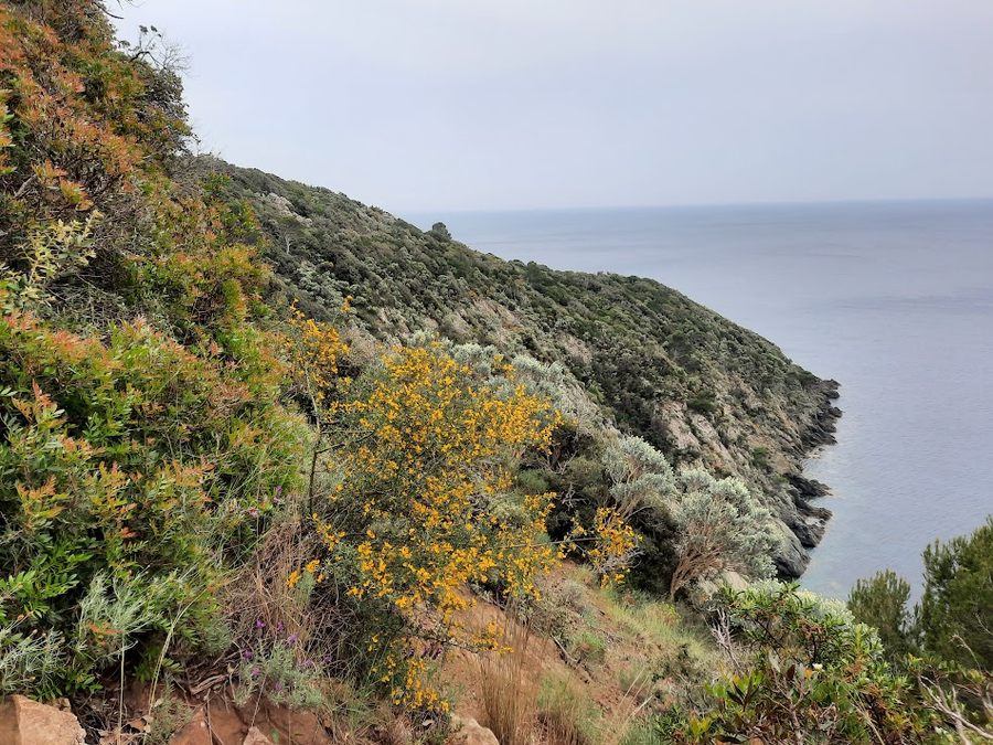 La Croix-Valmers, Cap Lardier et Cap Taillat