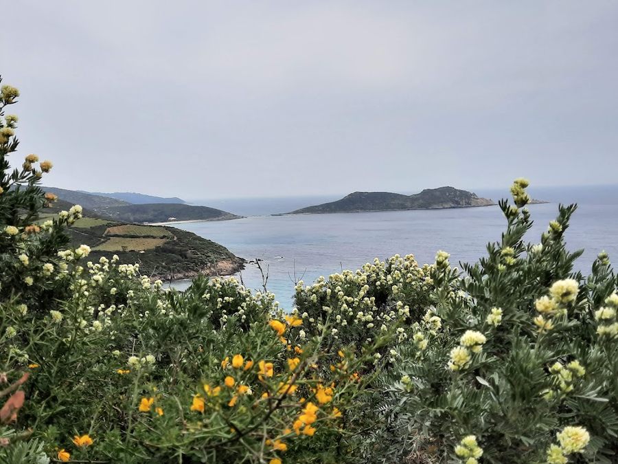 La Croix-Valmers, Cap Lardier et Cap Taillat